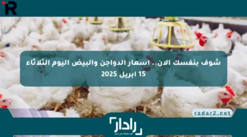 شوف بنفسك الآن.. أسعار الدواجن والبيض اليوم الثلاثاء 15 أبريل 2025